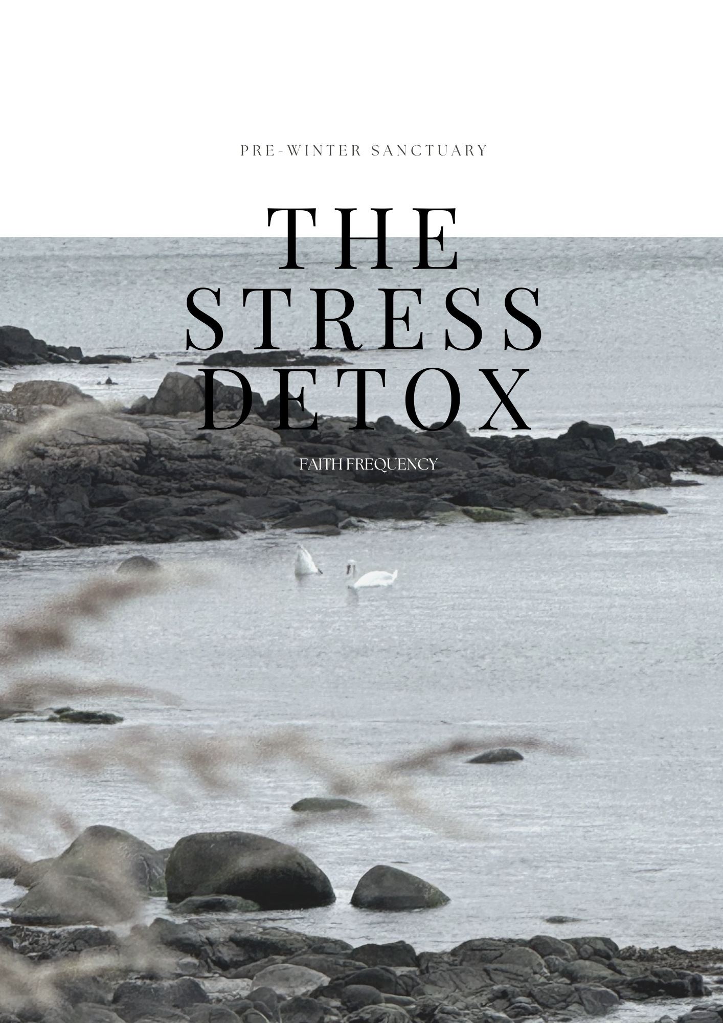 The Stress Detox